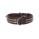 Ace Comfy  Leather Padded Dog Collar with Chrome Studs (Brown)